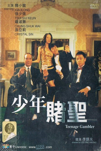 少年赌圣海报