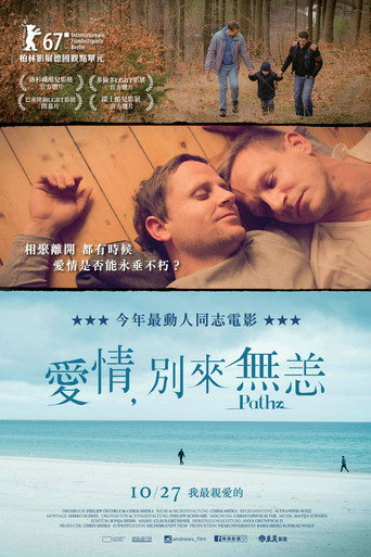 爱的路海报