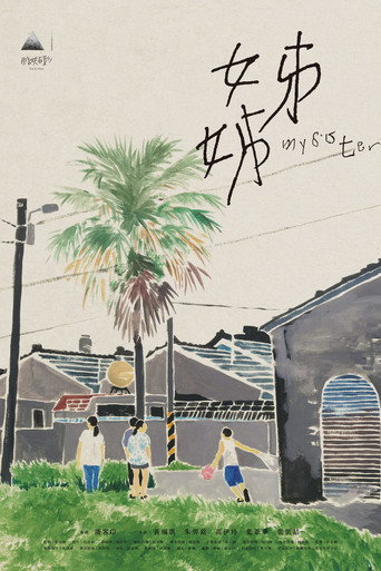 姊姊海报