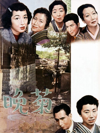 晚菊海报