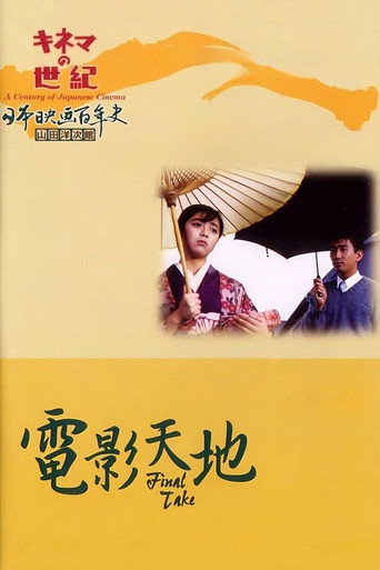 电影天地海报