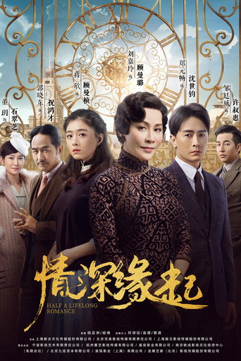 情深缘起海报