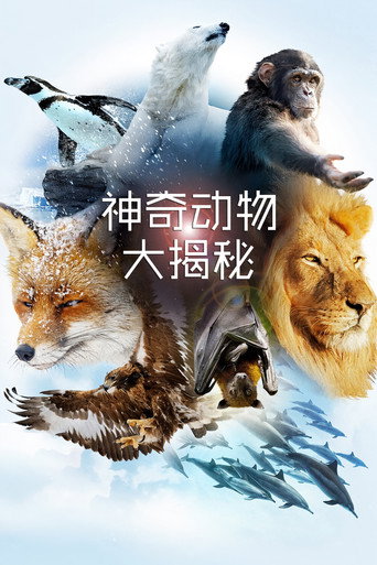 神奇动物大揭秘海报