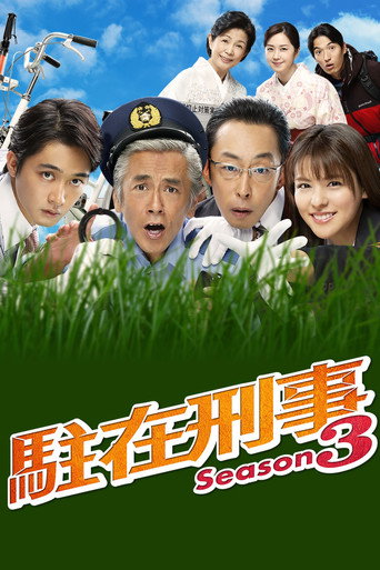 驻在刑警 第 3 季海报