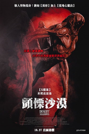 沙漠阴影海报