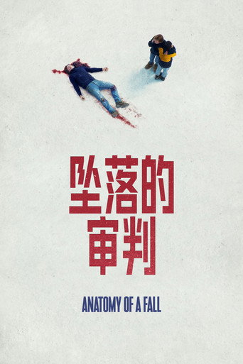 坠落的审判海报