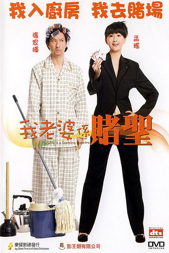 我的老婆是赌圣海报