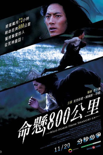 命悬800公里海报