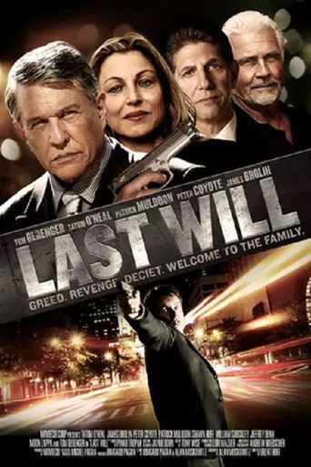 最后的意志海报