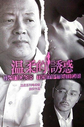 温柔的诱惑海报