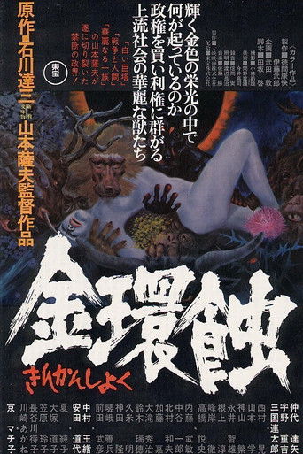 金环蚀海报
