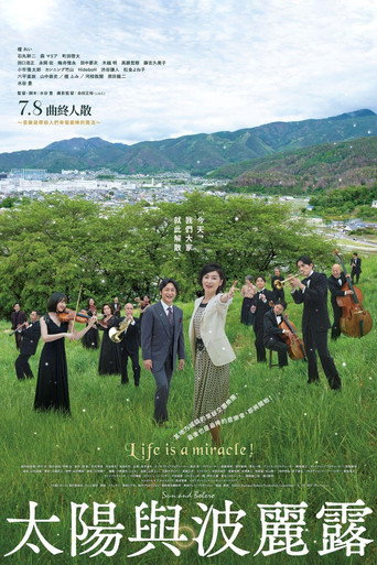 太阳与波莱罗海报