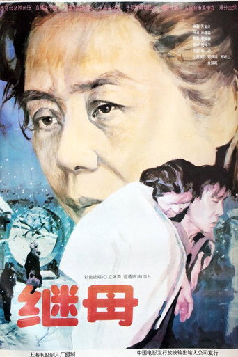 继母海报