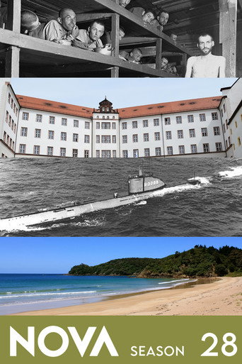 新星 第 28 季海报