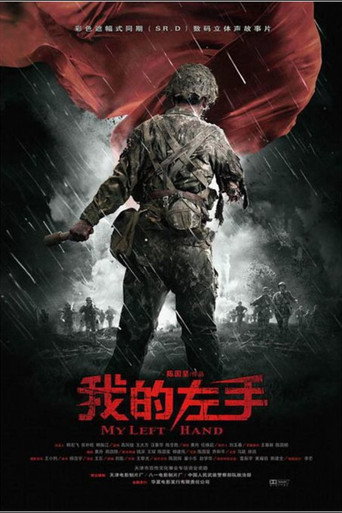 我的左手海报