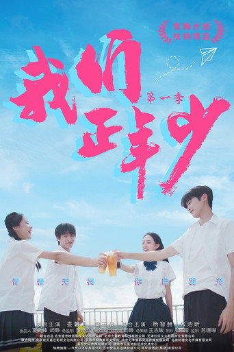 我们正年少海报