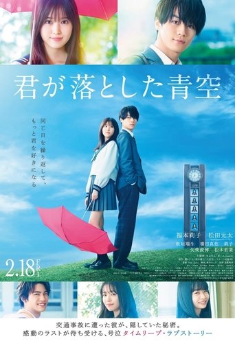你遗落的蓝天海报