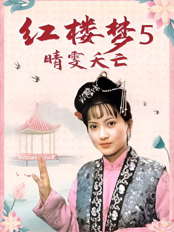 红楼梦第五部：晴雯夭亡海报