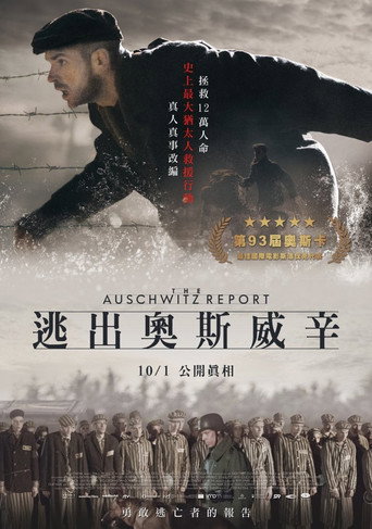 奥斯维辛报告海报