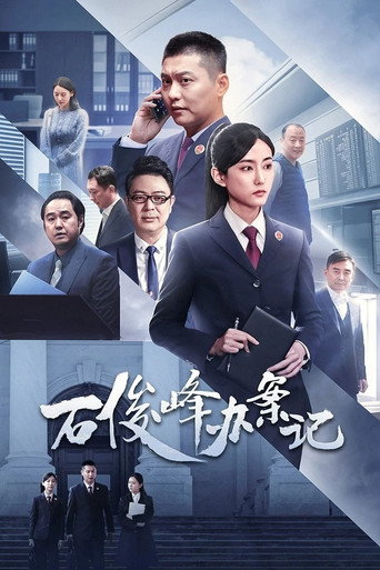 石俊峰办案记海报