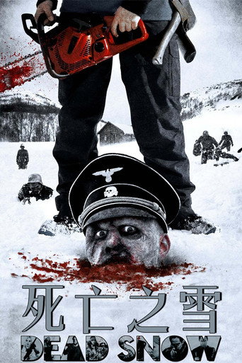 死亡之雪海报