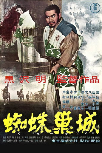 蜘蛛巢城海报