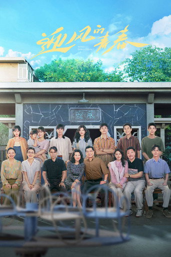 迎风的青春海报
