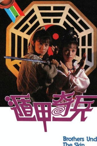 遁甲奇兵海报