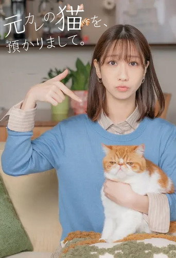 我收留了前男友的猫海报