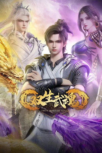 双生武魂海报