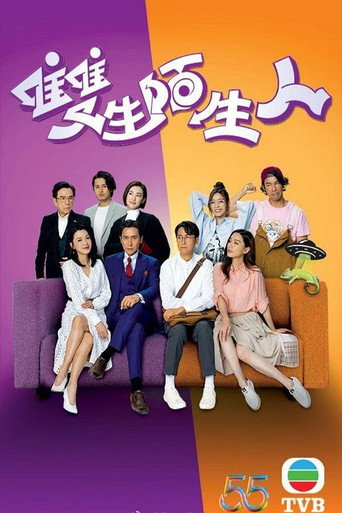 双生陌生人海报