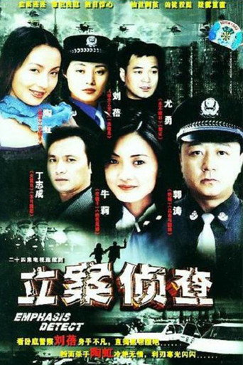 立案侦查海报