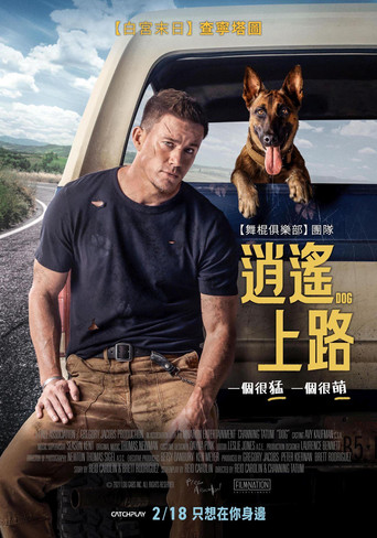 忠犬海报