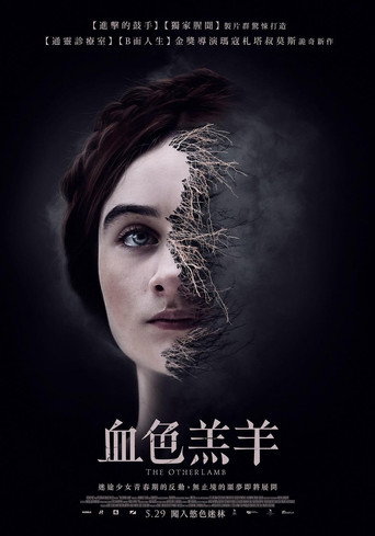 另一只羔羊海报