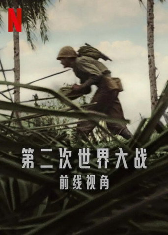 第二次世界大战：前线视角海报