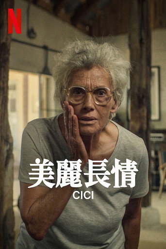美丽长情海报