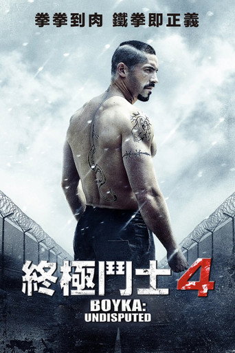 终极斗士4海报