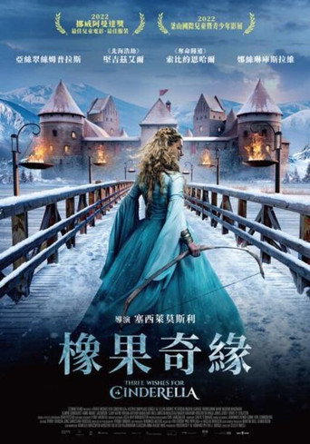 魔幻灰姑娘海报