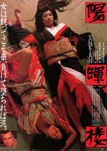 阳晖楼海报
