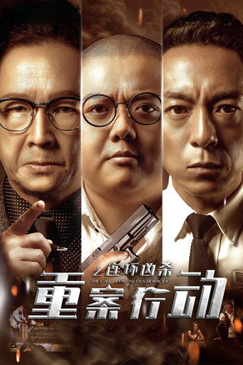 重案行动之连环凶杀海报