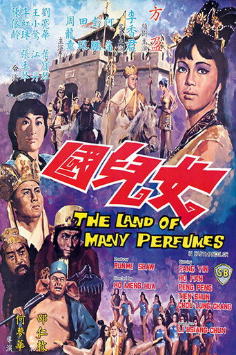 女儿国海报