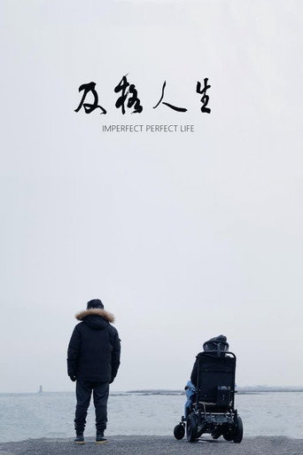 及格人生海报