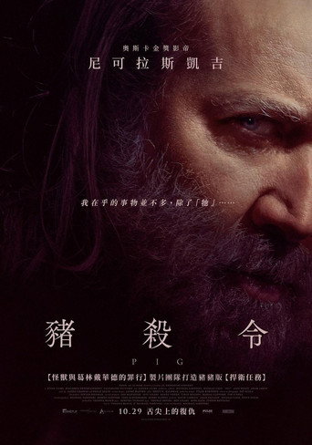 救猪行动海报
