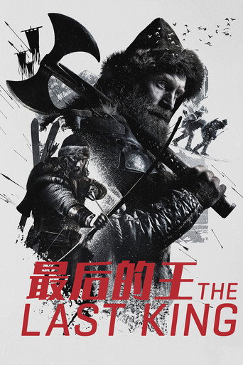 最后的王海报