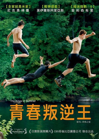夏日之王海报