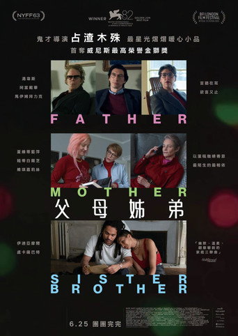 父母姐弟海报
