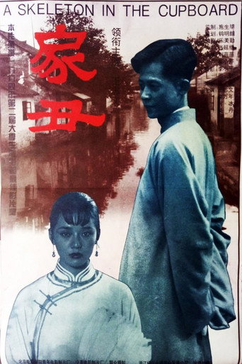 家丑海报