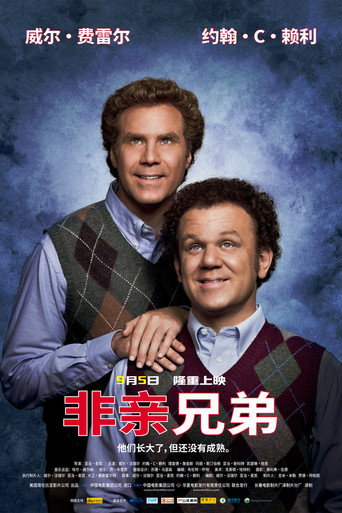 非亲兄弟海报