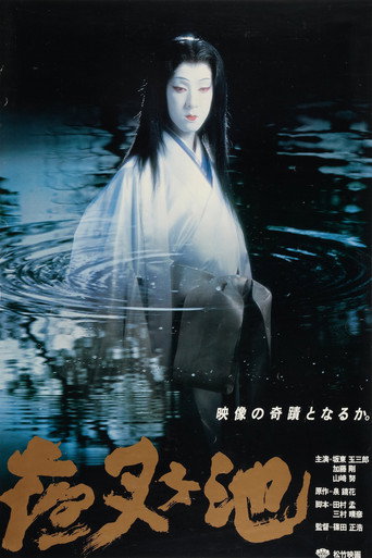 夜叉池海报