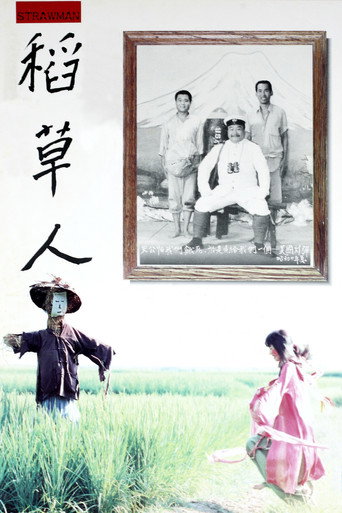 稻草人海报